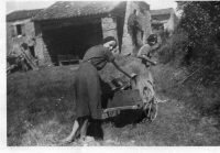 DH096