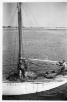 DH099