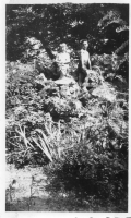 DH149