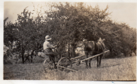 DH181