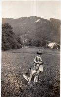 DH182