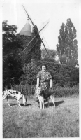DH199