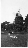 DH205
