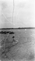 DH208