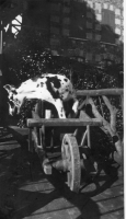 DH212