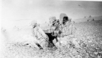 DH261