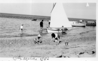 DH333