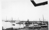 DH353