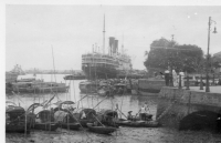 DH419