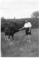 DH484
