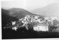 DH536
