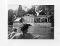 DH619