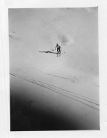 DH631