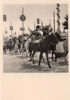 DH711