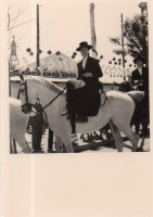 DH713