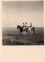 DH724