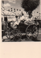DH733