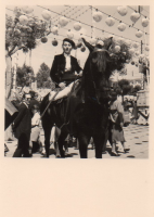 DH741