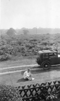 DH805