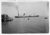 DH844