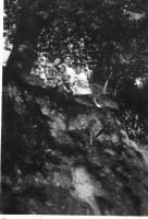 DH872