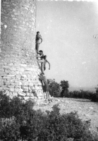 DH929