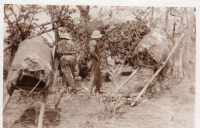 DH973