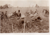DH976