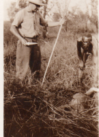DH977