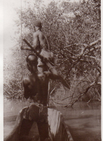 DH978