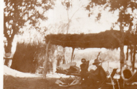 DH984