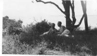 DI107