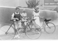 DI291