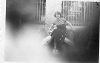 DI376