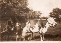 DI382