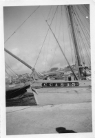 DI495