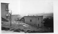 DI502