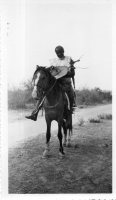 DI584