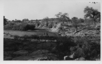 DI621