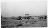 DI626