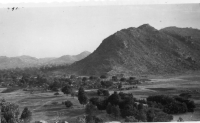 DI632