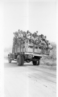 DI643
