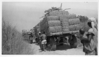 DI644