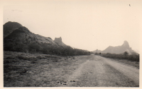 DI655