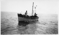 DI804