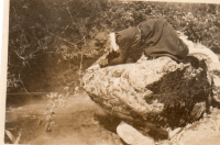 DI842