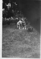 DI846