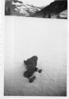 DI874