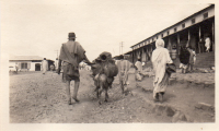 DJ558