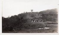 DJ934